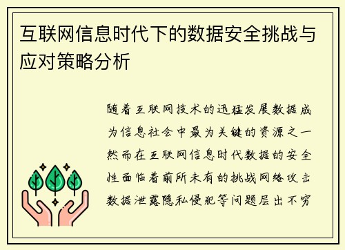 互联网信息时代下的数据安全挑战与应对策略分析
