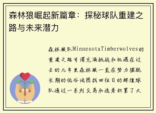 森林狼崛起新篇章：探秘球队重建之路与未来潜力